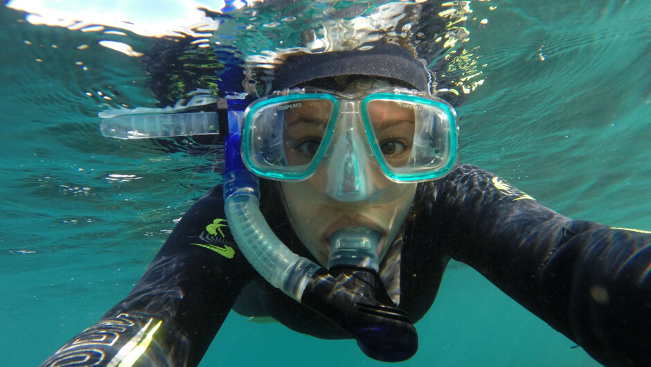 Kaikōura adventure with the seals