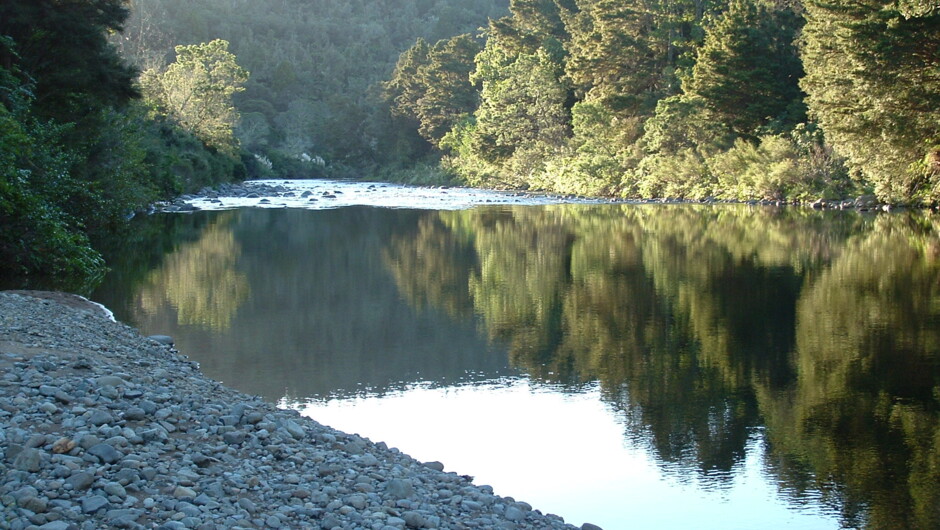 The Waiwawa river runs down one side of the campground
