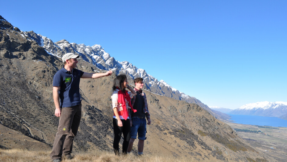 Wakatipu Discovery of the Rings