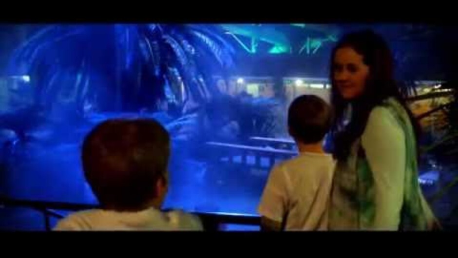 A short video featuring dramatic new LED lighting at Taupō DeBretts Hot Springs