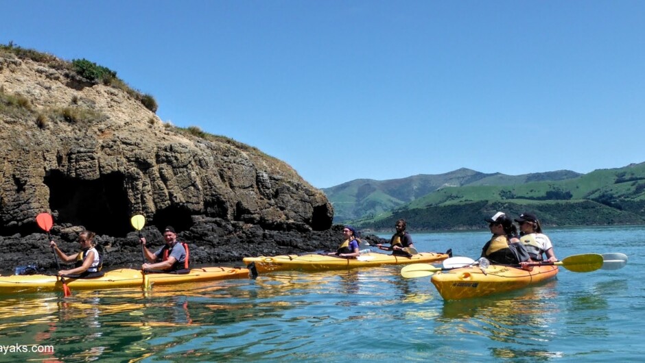 とっておきの秘宝、美しきアカロア
