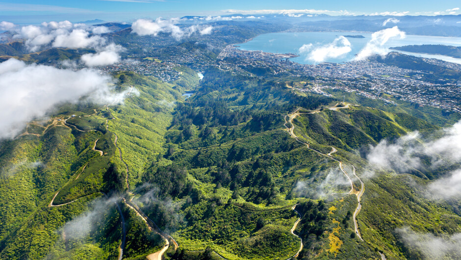 Valley Aerial by Rob Suisted 2000px.jpg