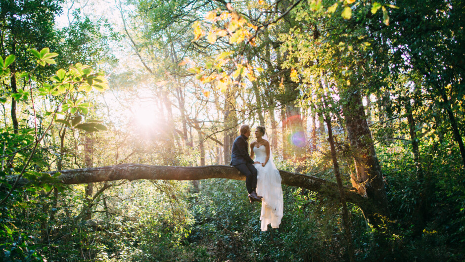 Christchurch Wedding Photography Forest