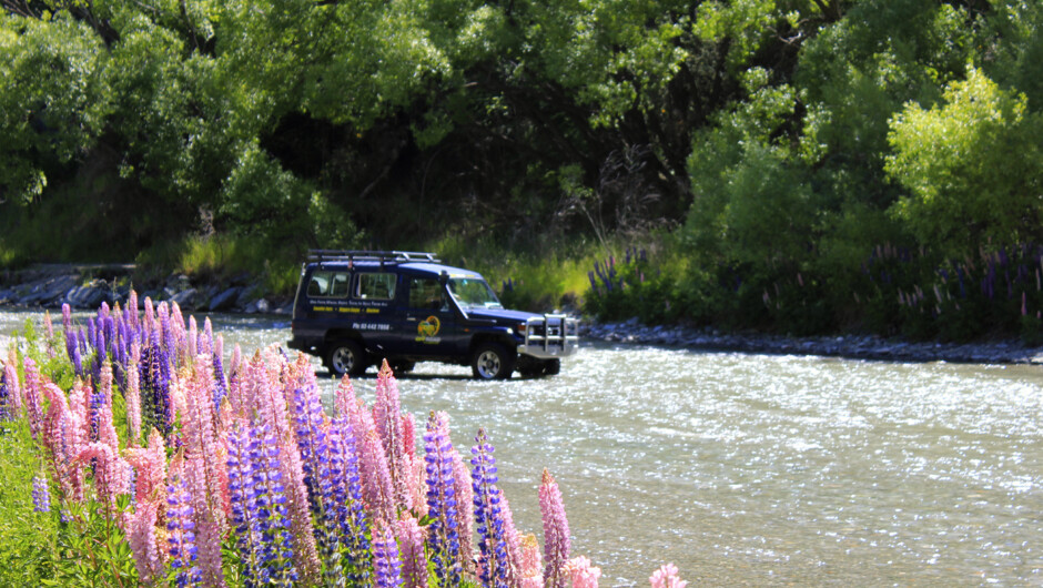 Wakatipu WIne Adventure