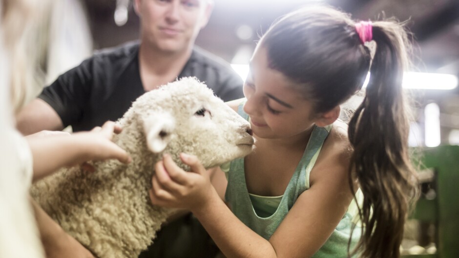子羊小屋はアグロドームでも得に人気があります。