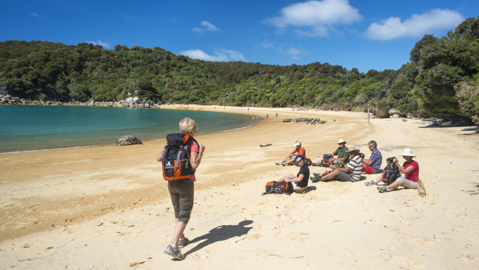 Abel Tasman National Park. We take you to see stunning nature scenic spots that may mean an easy half hour walk from the vehicle into seeing some of them, so depends on your passengers walking ability where we take you.Each tour is individually created to