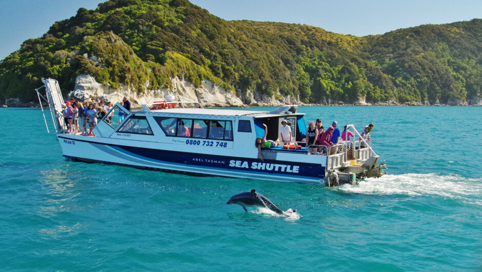 Cruise day tour Abel Tasman National Park. We take you to see the best scenic nature spots and to do the best attractions while touring New Zealand with us.