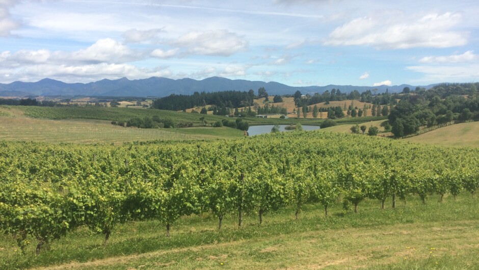 Winery lunch stop Marlborough. Wine Tasting Trips are just part of the NZ wide tours with us.