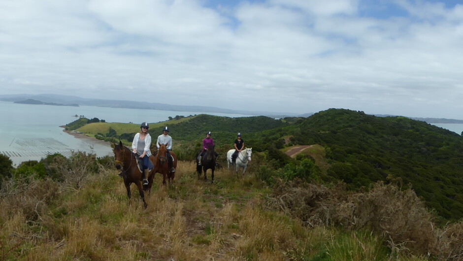 Te Matuku Ridge Pa Site