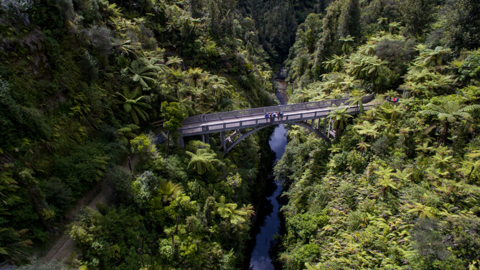 Enjoy a guided bush walk to the Bridge to Nowhere over the Mangapurua Stream