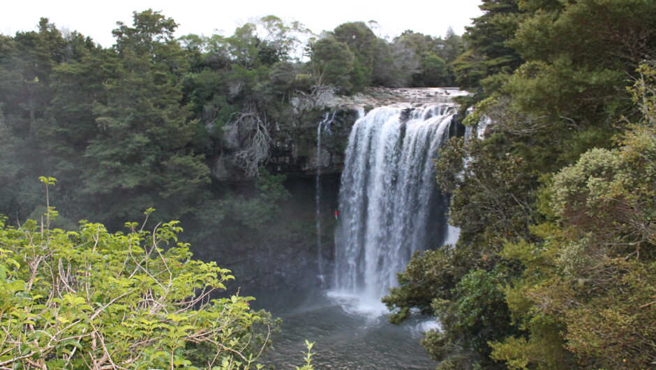 Kerikeri. Experience NZ Tour with Private Driver Hire New Zealand.
