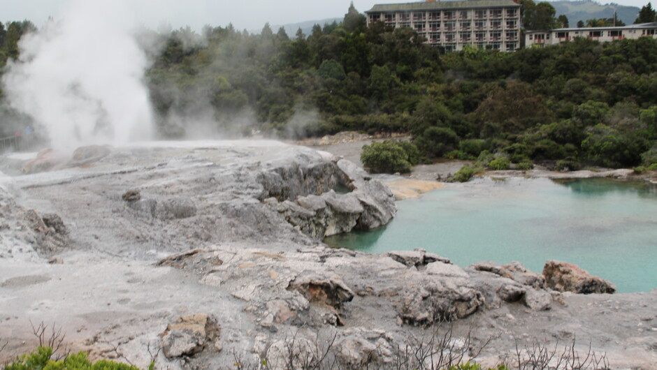 Rotorua geothermal park.  Experience NZs best attractions, Tour with Private Driver Hire New Zealand Limited.
