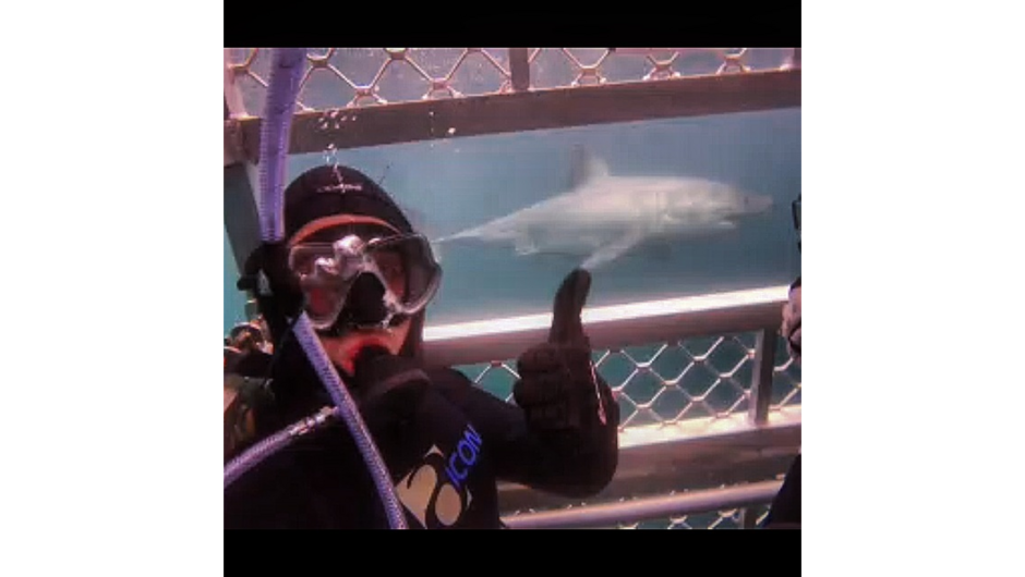 Shark selfie