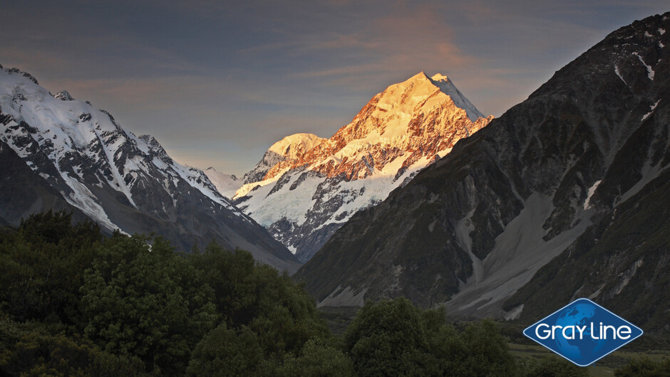 Gray Line Mount Cook Day Tour