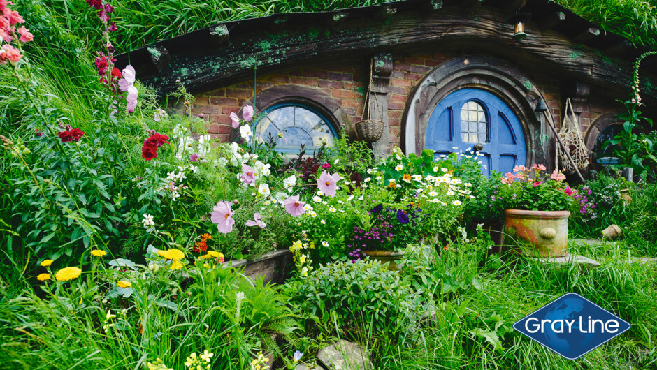 Gray Line Hobbiton and Waitomo Day Tour