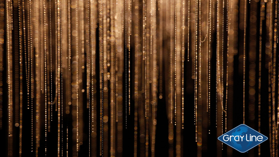 Gray Line Hobbiton and Waitomo Day Tour - Glow worms