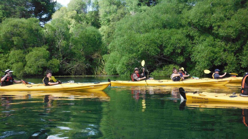 Kayak down the glassy waters of the Waikato River