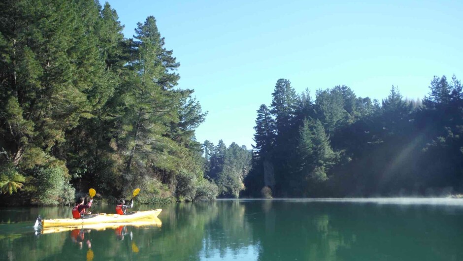 Kayak down the glassy waters of the Waikato River