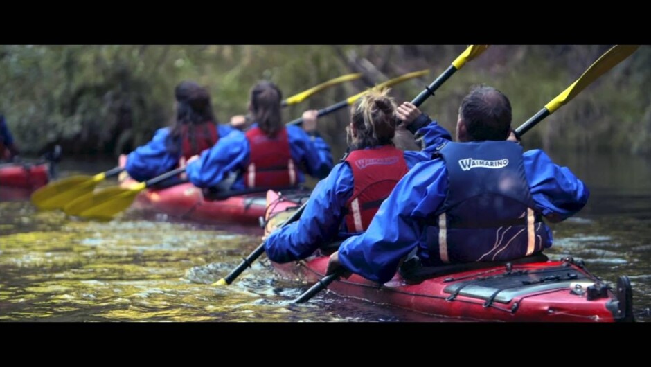 A look into the Waimarino's Scenic Lake McLaren Kayak Day Tour Enjoy the wonderful calm Lake McLaren where serenity takes a new name. Gently paddle a kayak past a multitude of birdlife, literally within paddles' reach.