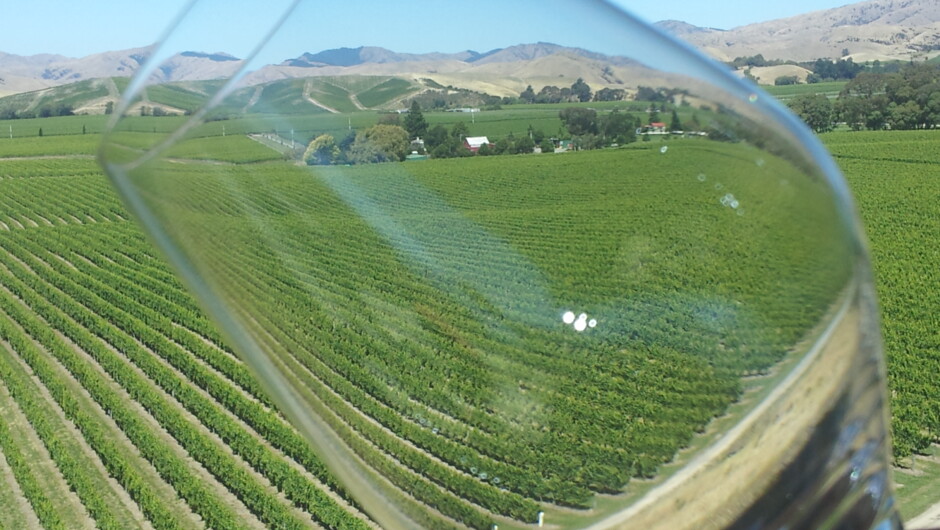 Beautiful views of the Marlborough Valley.