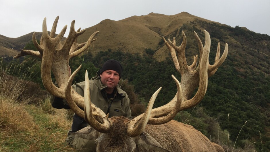 Visit NZ for the largest stags in the world.