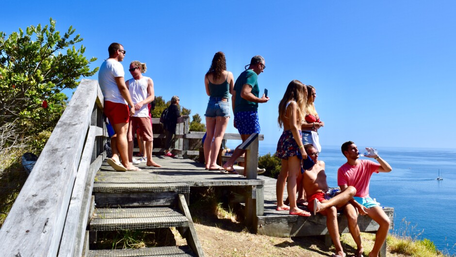 Scenic views from island lookout points!