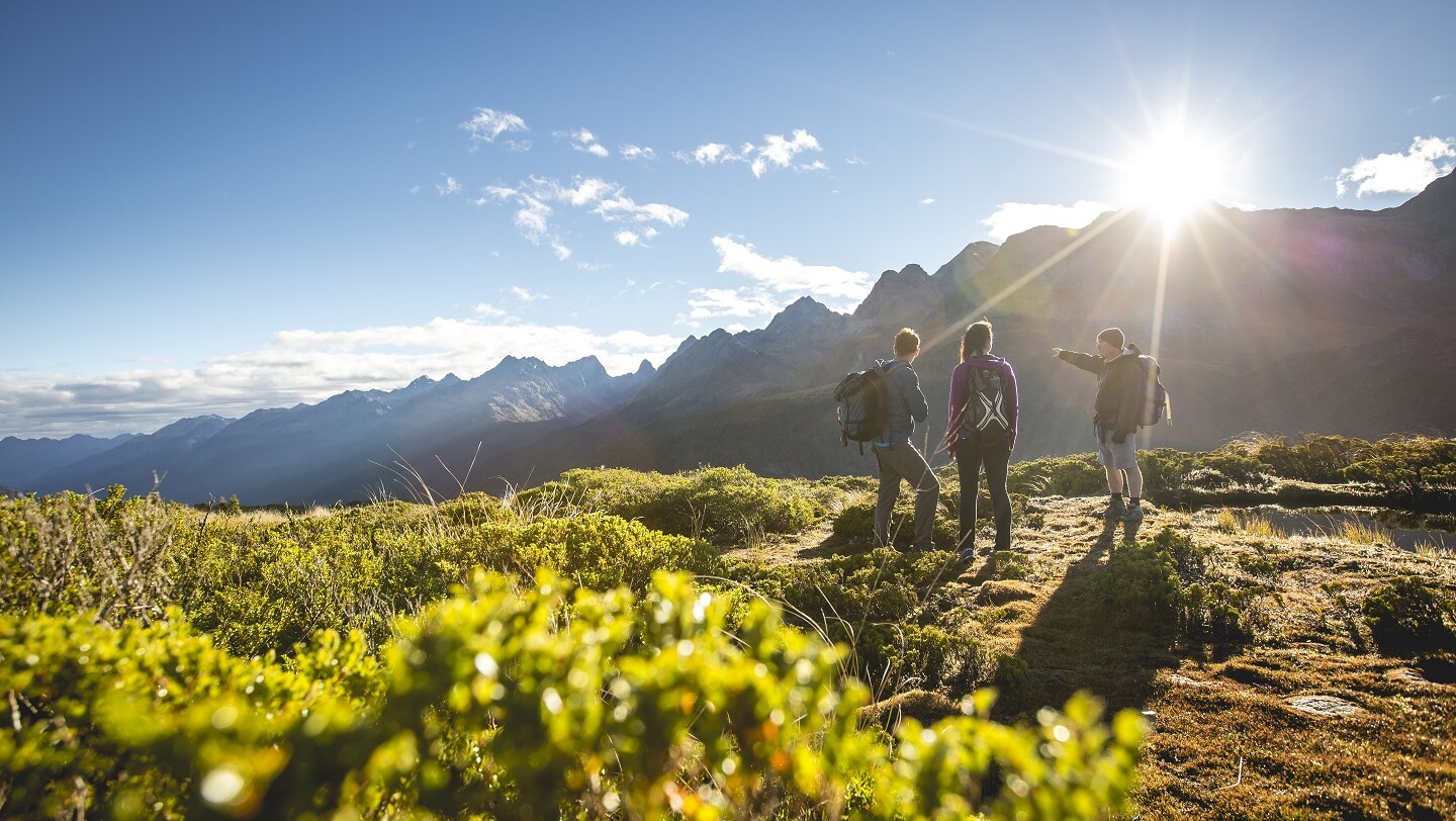 Routeburn Track, Key Summit Guided Walk - Trips & Tramps | Activities & Day Trips in Fiordland ...