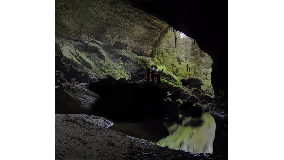 Jurassic views of the Main Entrance of the Metro / Te Ananui Cave, near Charleston on the West Coast.