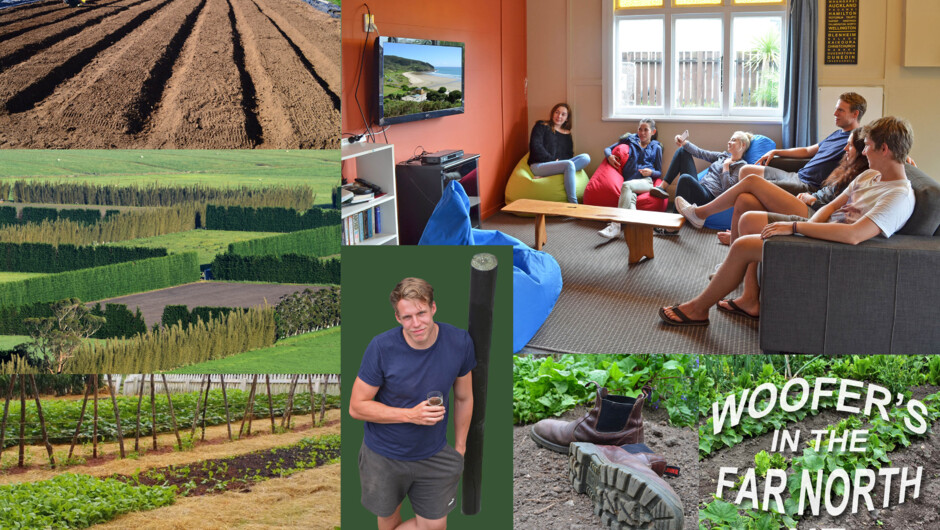 We provide seasonal worker accommodation.