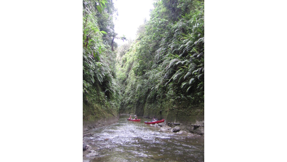 Whanganui River 004.JPG