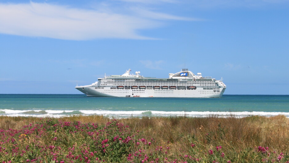 Tours for Cruise passengers in Gisborne