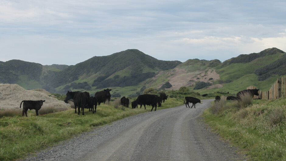 Beautiful scenery on our trips.