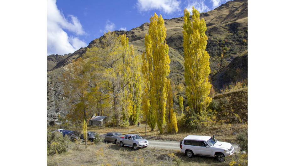 Autumn, Skippers Canyon