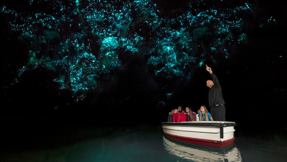 Waitomo Glowworm Cave