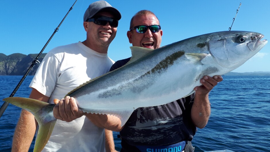 Large Kingfish