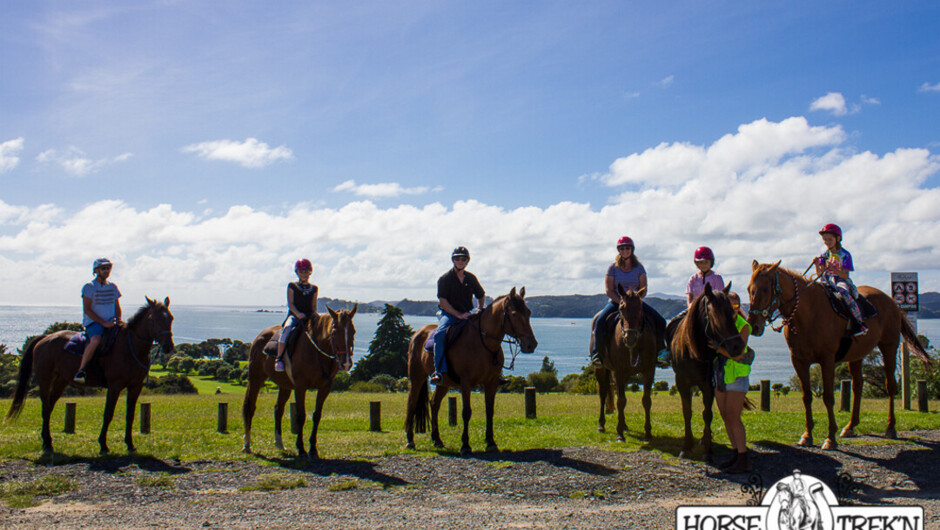 Horse Trek'n Limited