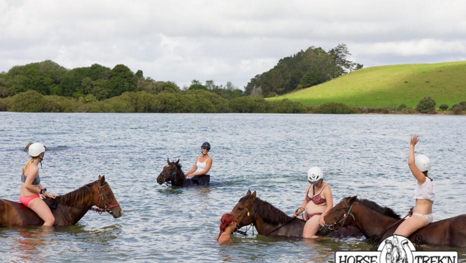 Swimming with Horses - an experience not to be missed