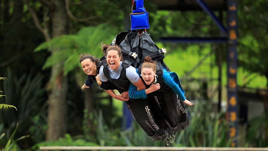 Swoop Giant Sky Swing at Velocity Valley