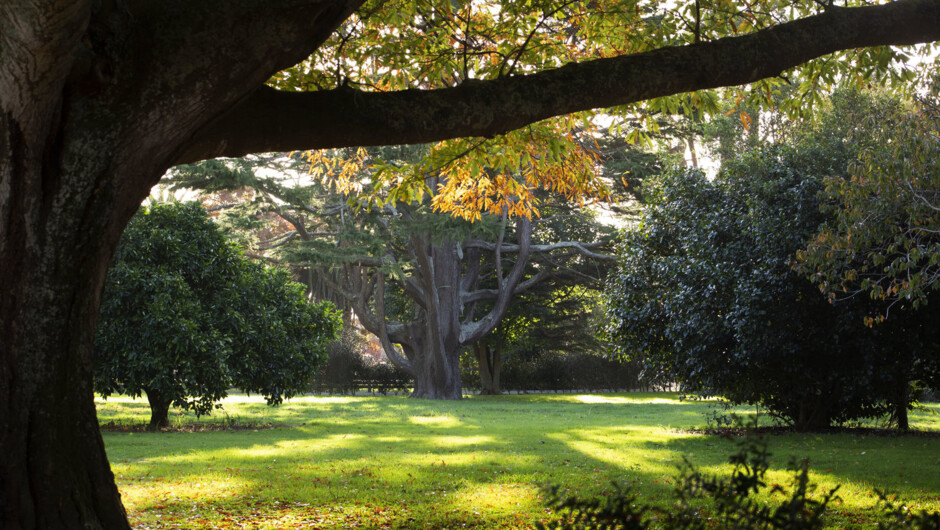 Enjoy the tranquility of the country, while being close to town.