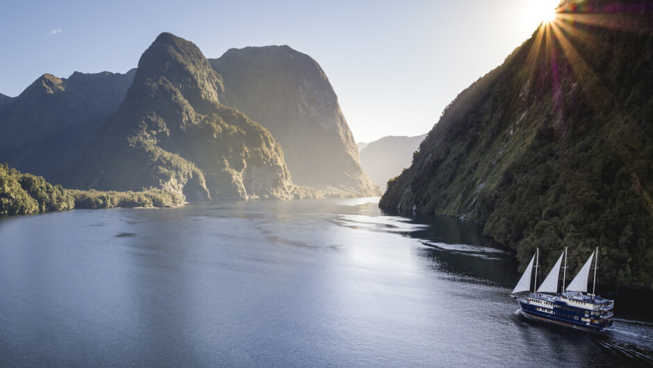 Stay the night on the Milford Wanderer in Milford Sound
