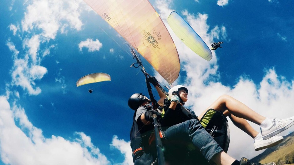 Share the sky with your friends and family.