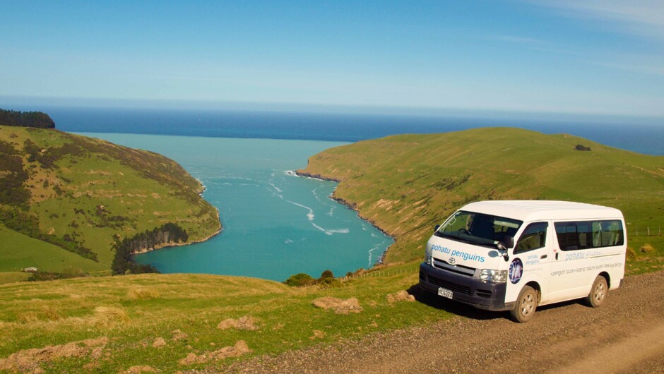 On our way back up from Pōhatu Bay.