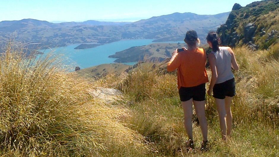 Photo stop on the edge of Akaroa volcano crater rim.