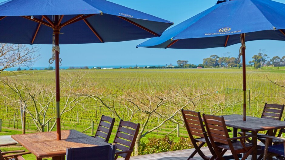 Sit back and enjoy the view from the deck