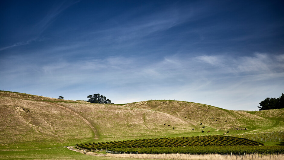 Set amongst the foothills of Te Awanaga