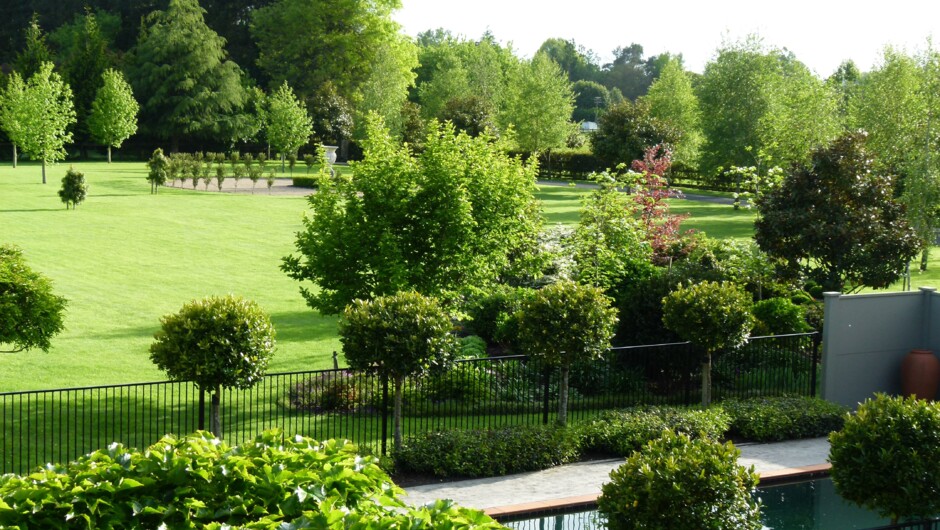View of garden &amp; pool from guest lounge