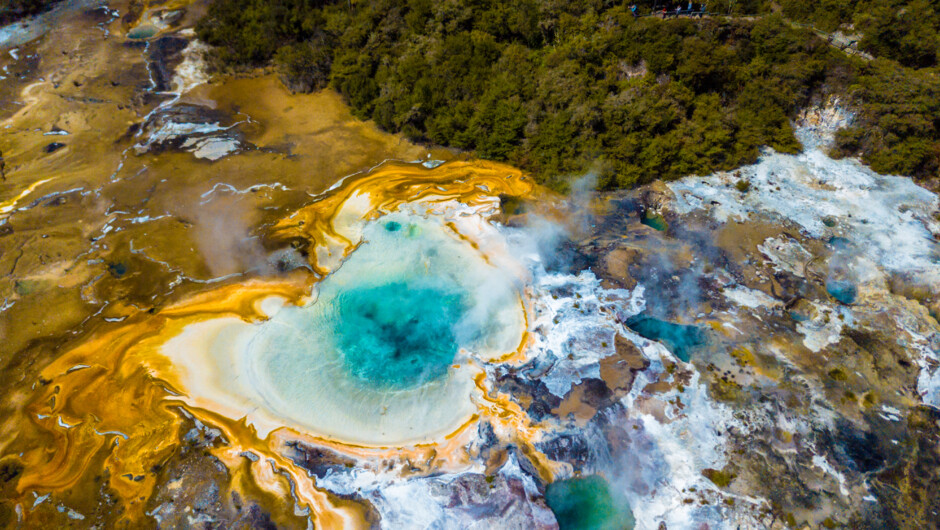 Birds eye view of the geothermal field.