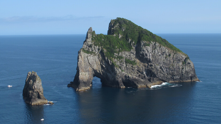 The Hole in the Rock, known by Maori as Motu Kokako.