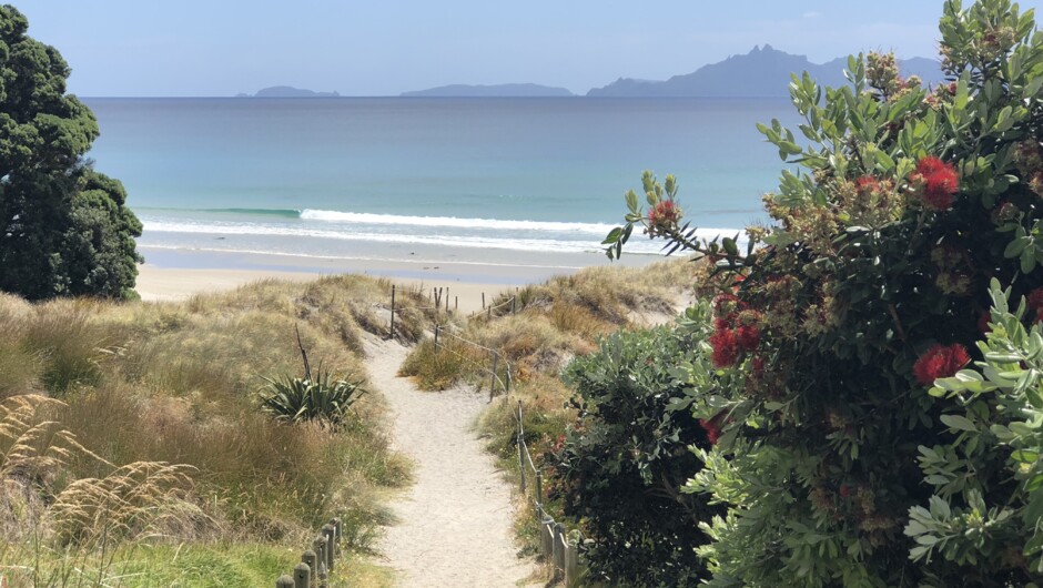 Beach walk &amp; riding sand dunes.