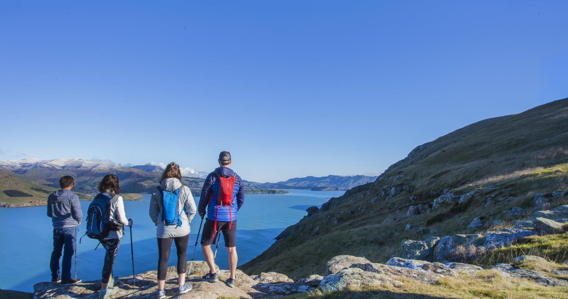 Full Day Guided Crater Rim Walk | Activity in Christchurch - Canterbury ...